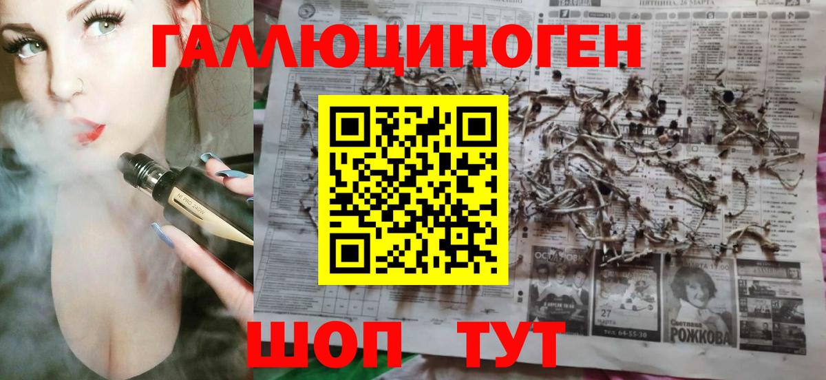 Кузнецк  Псилоцибиновые грибы Psilocybe  Вход с VPN 